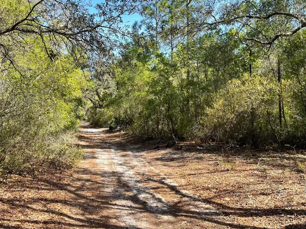 00 NEAL Road, Hawthorne, FL 32640