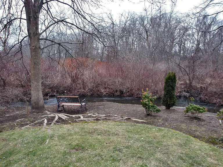 Backyard view.
