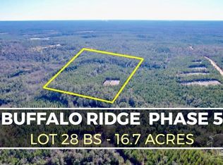 LOT 28 Buffalo Ridge Rd, Milton, FL 32571