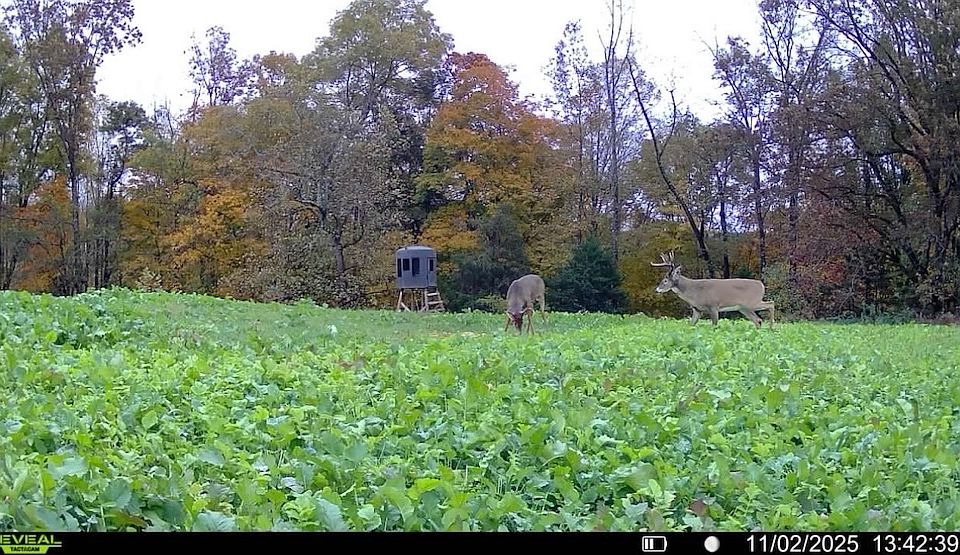 1st image of Cedar Flat Curtis Rd Lot Wp001