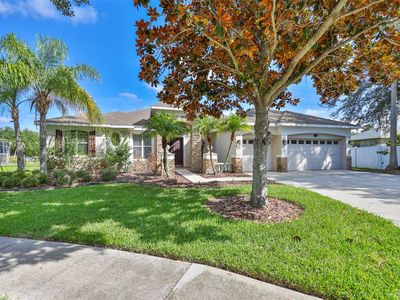 16508 AMBERWIND LANE, Lutz, FL, 33558