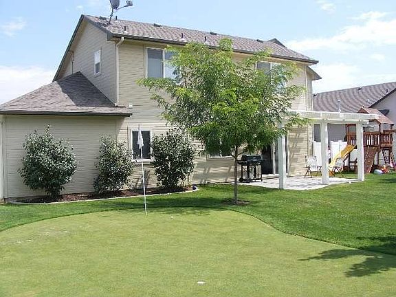 Bentgrass putting green