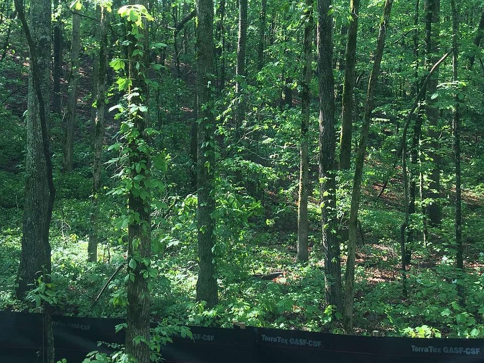 1440 Ridgeway Church Rd Ellijay, GA, 30540 Apartments for Rent Zillow