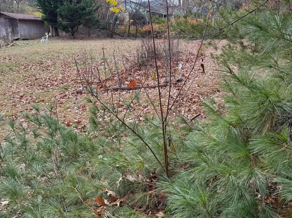 2540 Flint Hill Rd, Vienna, VA 22181