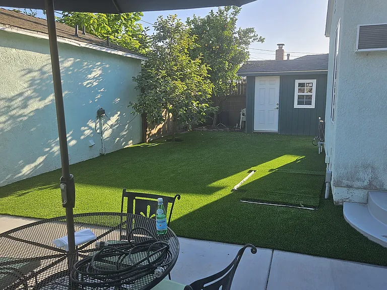backyard