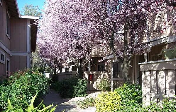 Garden Terrace Apartments — Photo 8