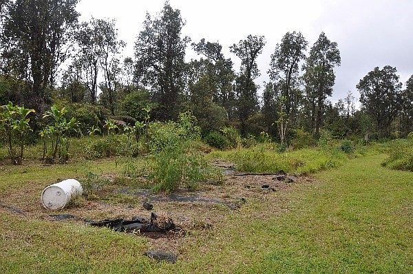 2nd image of LOT 8161st