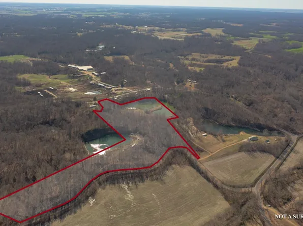 Gravel Pit Rd, Hornbeak, TN 38232