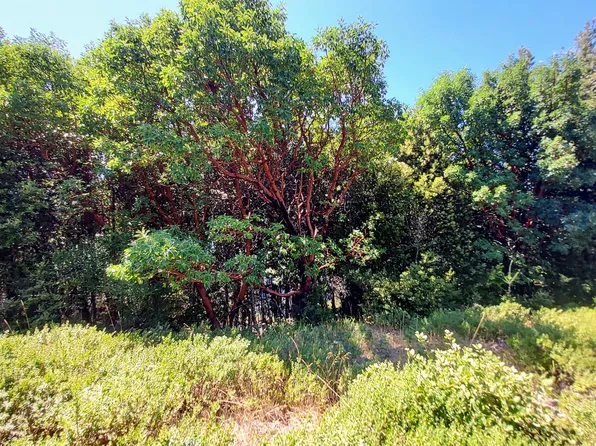 27 Cook Rd, Whitethorn, CA 95589