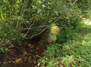 Stocton Rd, Roan Mountain, TN 37687