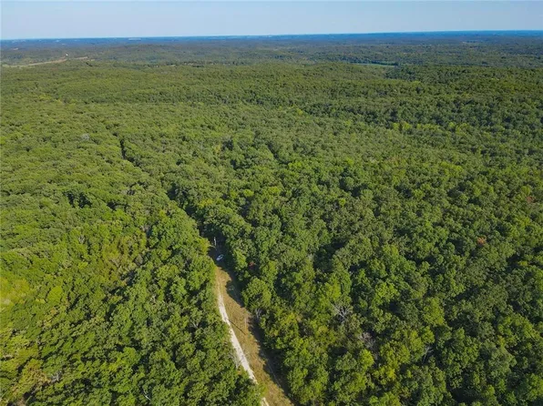 County Road 64, Wheatland, MO 65779