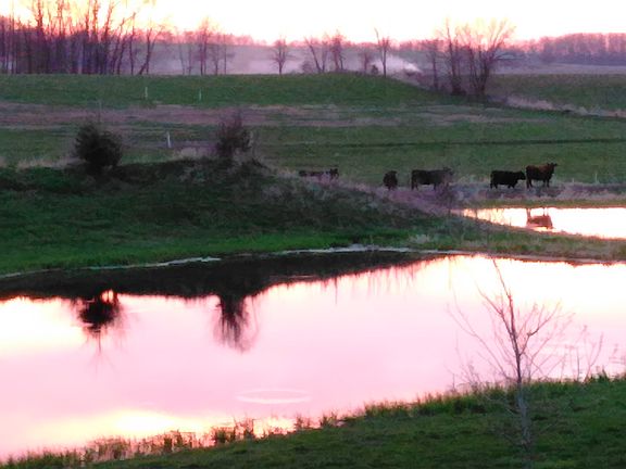 Sunset view from front porch