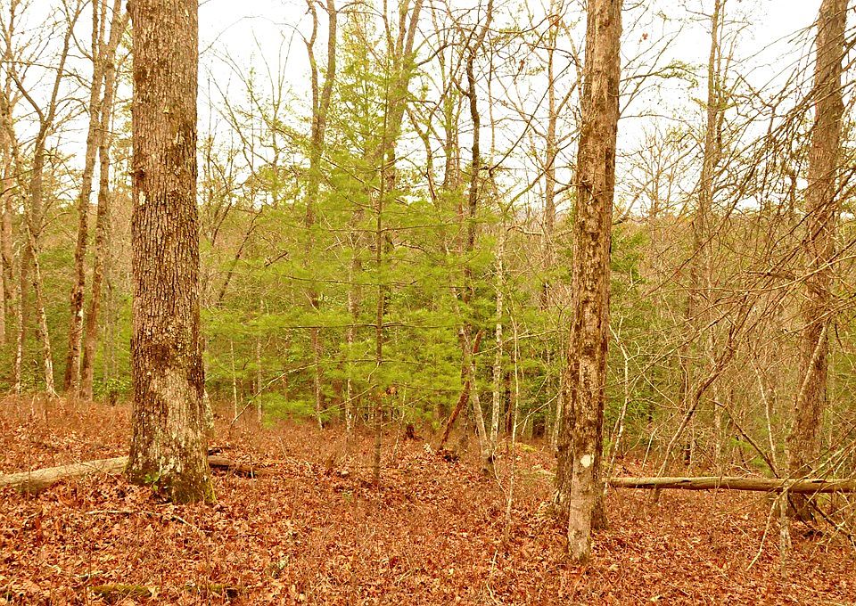 2nd image of 00 Dotson Road