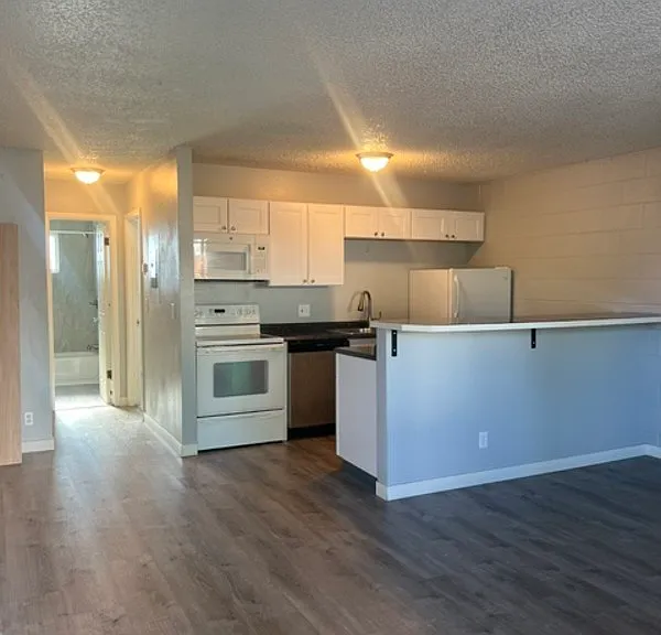 2229 Collyer St #3 — Photo 2