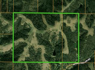 1201 Infidel Hollow Rd, Mozier, IL 62070