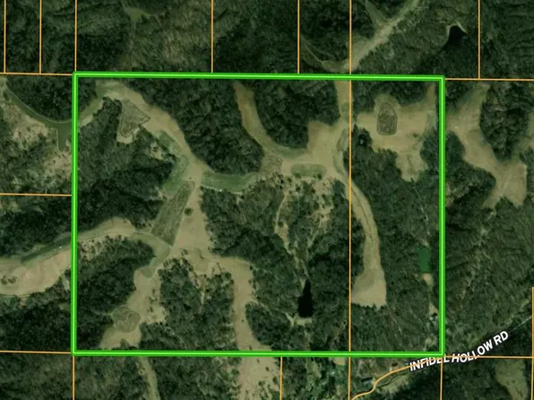 1201 Infidel Hollow Rd, Mozier, IL 62070