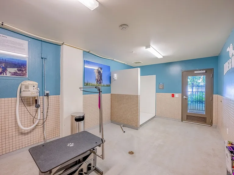 Mark24_amenity_paw wash 25