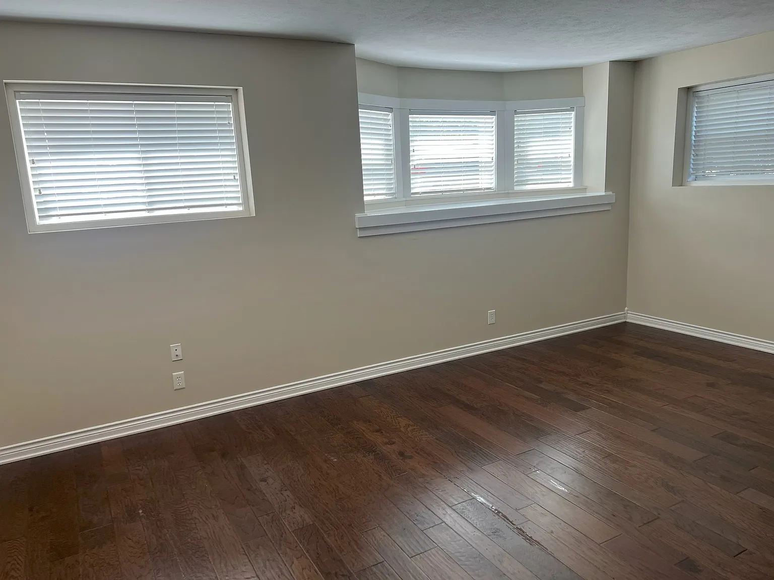 1 bed, 800 sqft, $1,310 — Photo 4