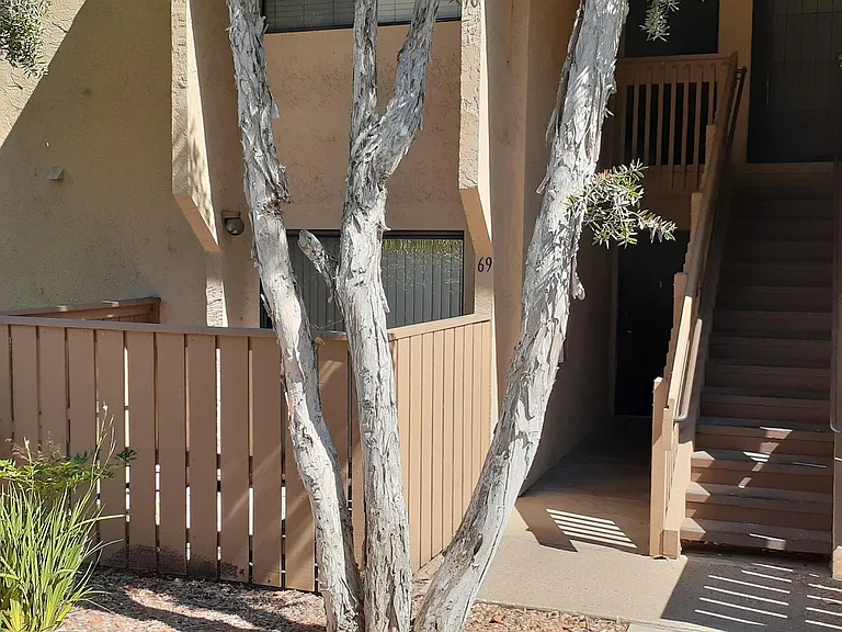 10333 Caminito Aralia #69 — Photo 4