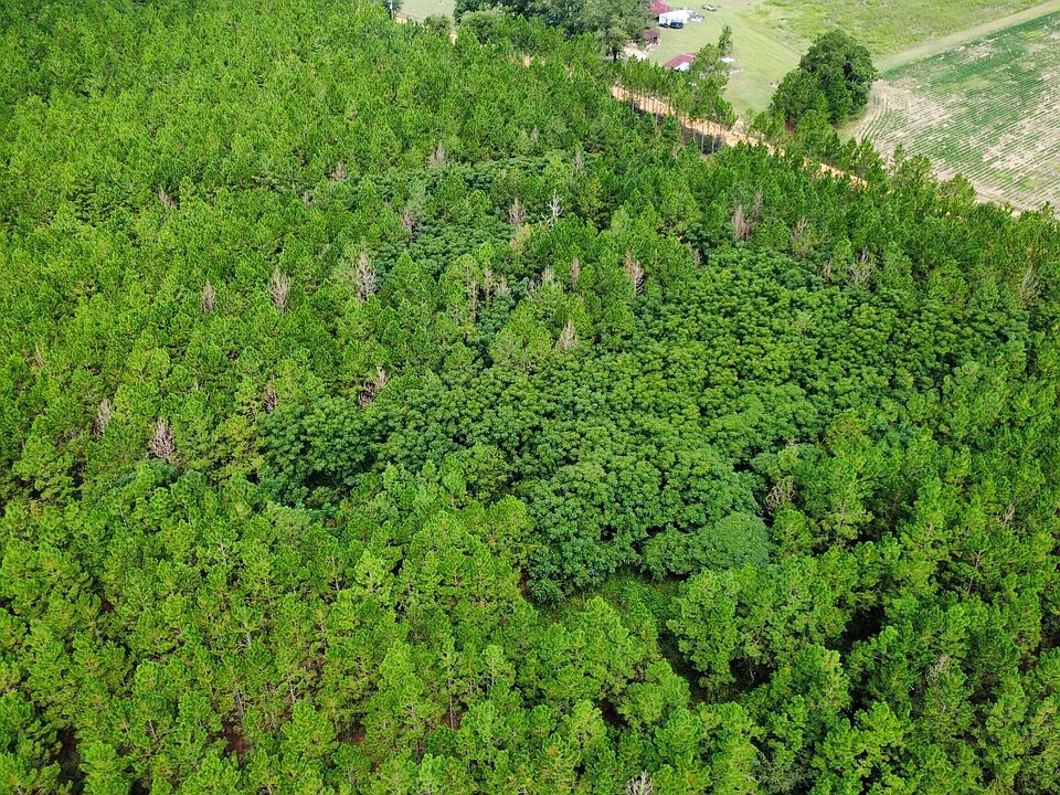 1st image of TRACT 3 A L Reeves Rd