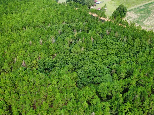 TRACT 3 A L Reeves Rd, Fitzgerald, GA 31750