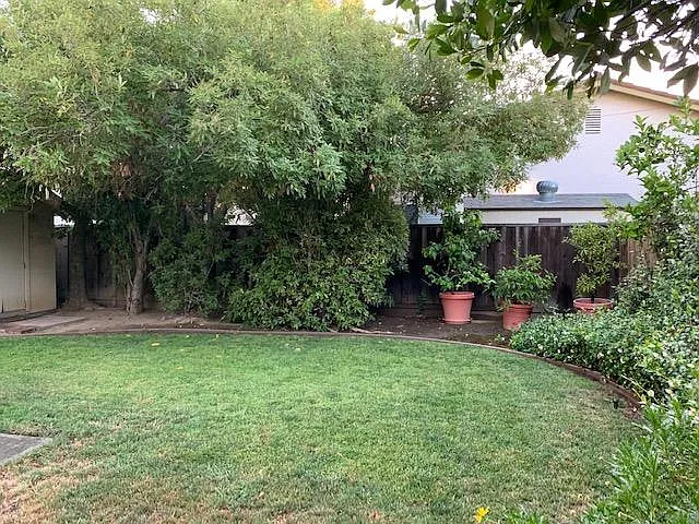 4 bed, 2021 sqft, $5,900 — Photo 2