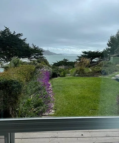 View from den