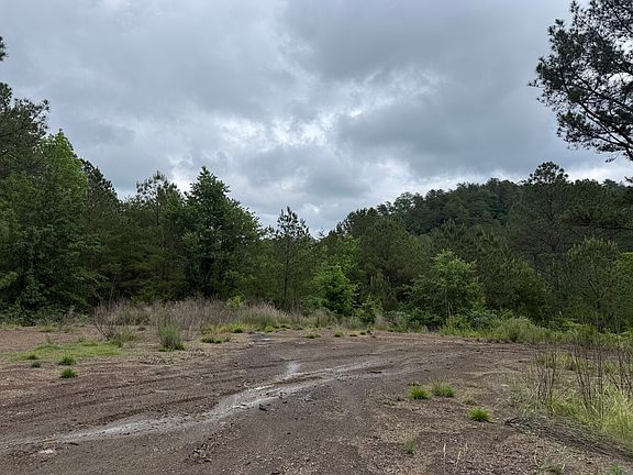 2nd image of 0 Lock 17 Rd