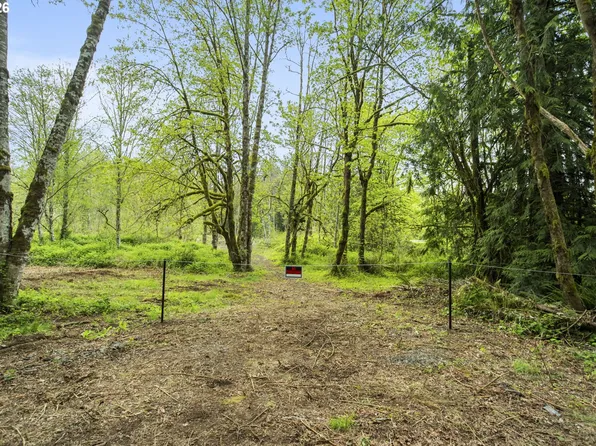 34403 NE Lewisville Hwy #1, Yacolt, WA 98675