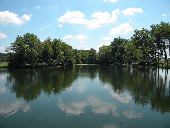 2nd image of 2950 Woodland Park Dr
