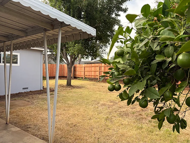 Large backyard with new fence