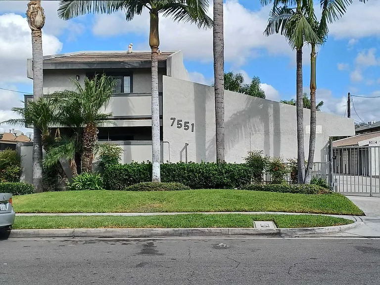 The Palms — Photo 7