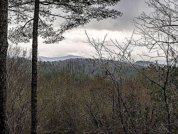 3rd image of 49 Amy Creek Cir