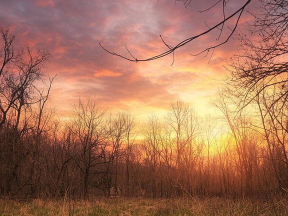 5th image of 1205 Turner Rd