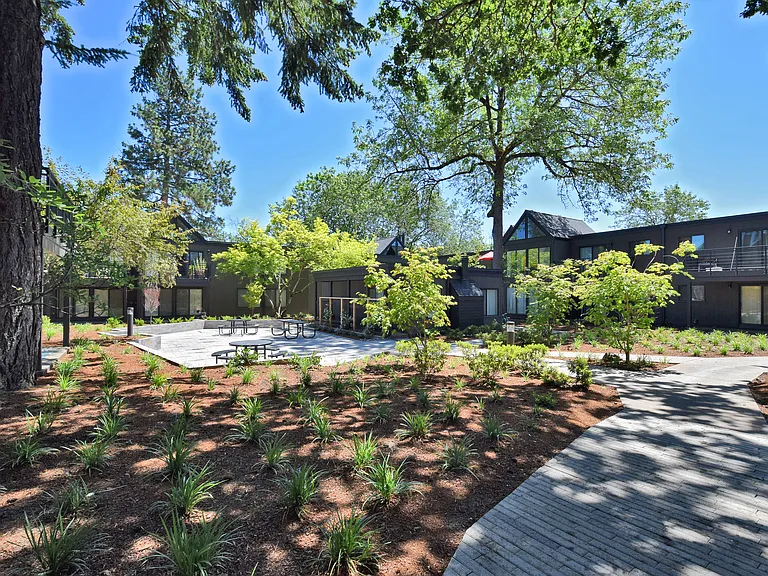 Timberwood Apartments — Photo 8
