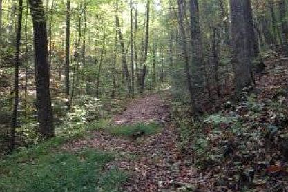 1st image of Turkey Pen Dr