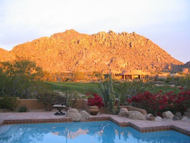 backyard  from living room