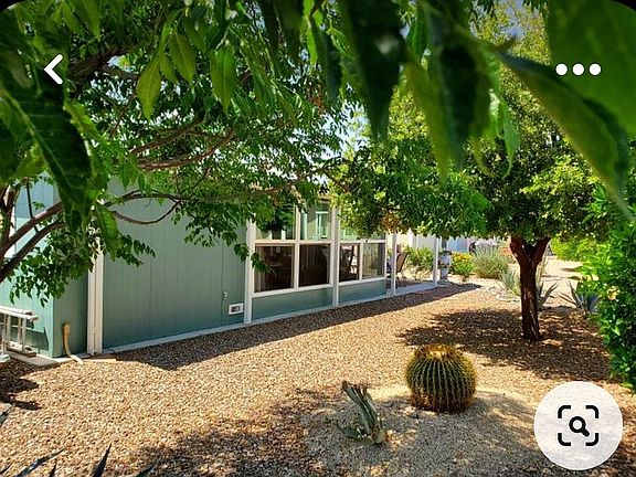 Backyard with 2 hardwood trees