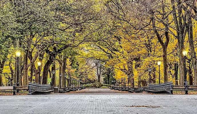 Rented by Vector New York, LLC | media 26