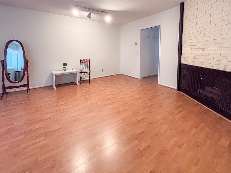 Common living room (shared with 1 other roommate)