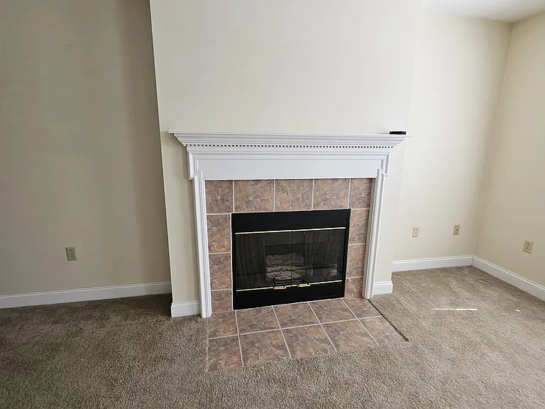 315 Silver Leaf Dr — Photo 3