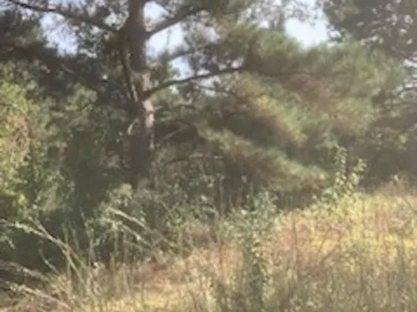 Vicksburg Dr, Dillon, SC 29536