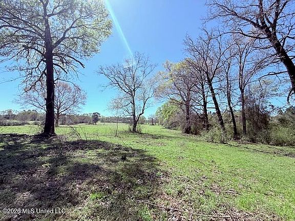 3rd image of Sanders Rd