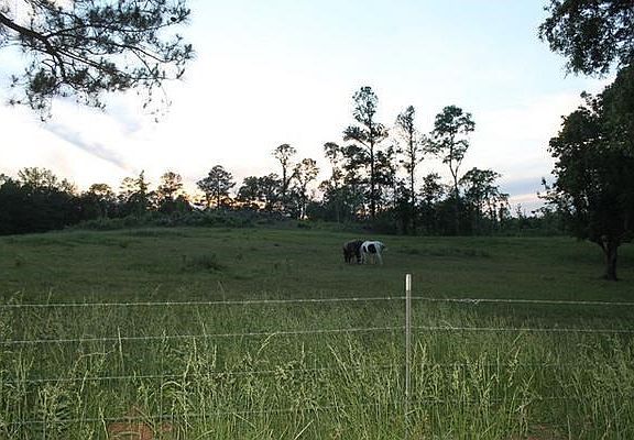 3rd image of 1369 County Road 142