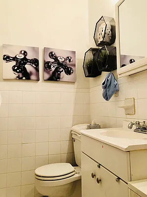 Rented by Compass | media 28