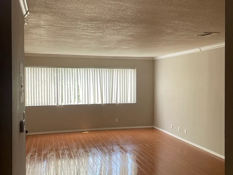 11252 Peach Grove St — Photo 6