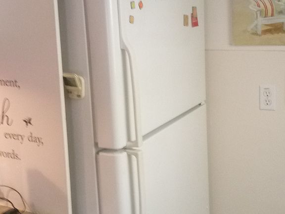 fridge and wine rack