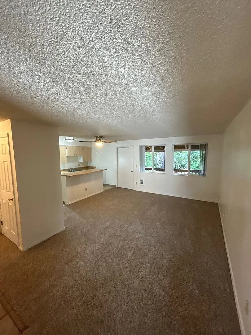 The Firs Apartments — Photo 4