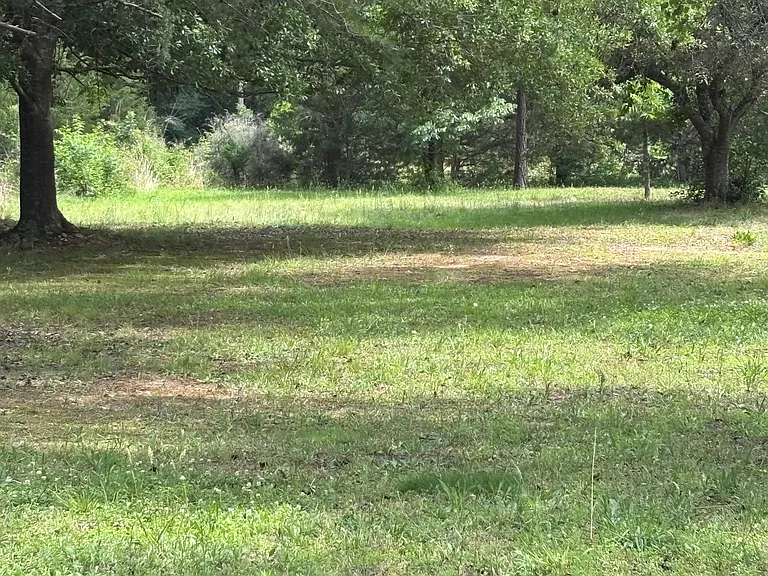 Ora County Park Rd — Photo 2