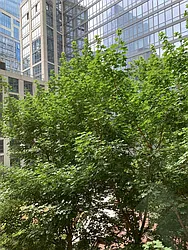 Rented by Windsor Property Management